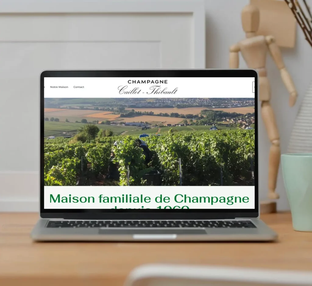 Réalisations Création de site web Epernay Marne