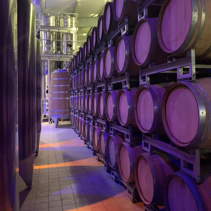 photographie cave champagne agence de communication marne