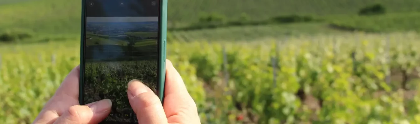 Shooting photo vignes shooting photo professionnelle champagne